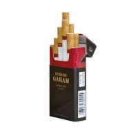 Gudang Garam Signature cigarettes 10 cartons