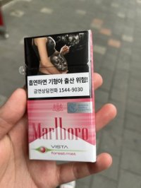 Marlboro Vista Forest Mist cigarettes 10 cartons