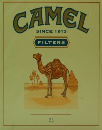 camel filters since 1913 cigarettes 10 cartons