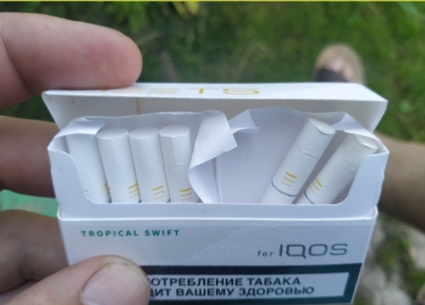 IQOS HEETS TROPICAL SWIFT 10 cartons