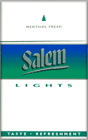 Salem Menthol Lights Cigarettes 10 cartons