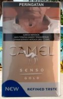 Camel Senso Gold cigarettes 10 cartons